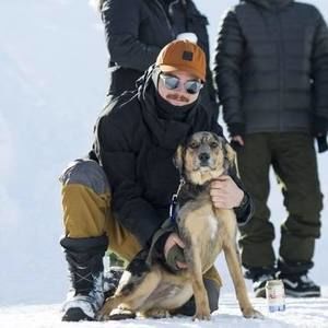 Meet your Posher, Noah